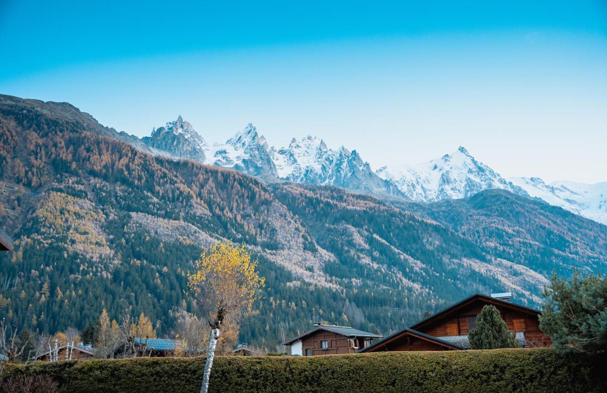 Chalet La Pagode, Vue Mont-Blanc Et Jardin Prive Шамони Экстерьер фото